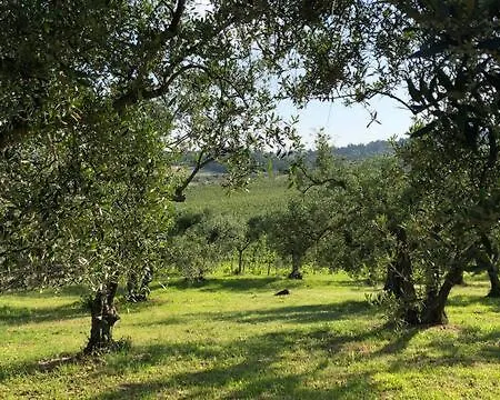 Apartman La Torre Dell'oliveto Agello