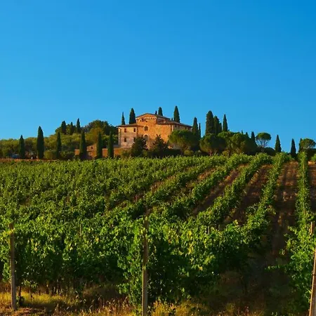 La Torre Dell'oliveto Agello
