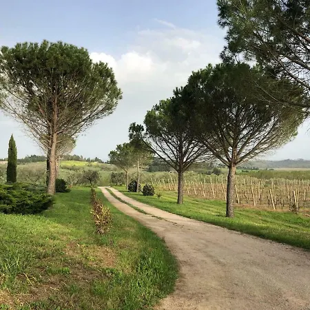 La Torre Dell'oliveto Apartman